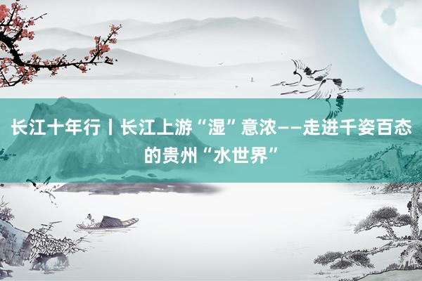 长江十年行丨长江上游“湿”意浓——走进千姿百态的贵州“水世界”