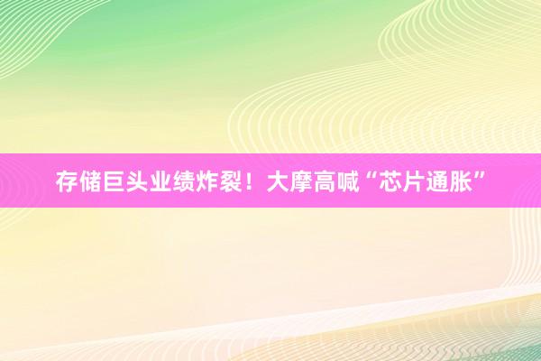 存储巨头业绩炸裂！大摩高喊“芯片通胀”