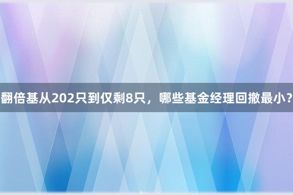 翻倍基从202只到仅剩8只，哪些基金经理回撤最小？