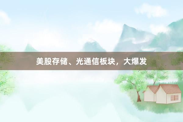 美股存储、光通信板块，大爆发