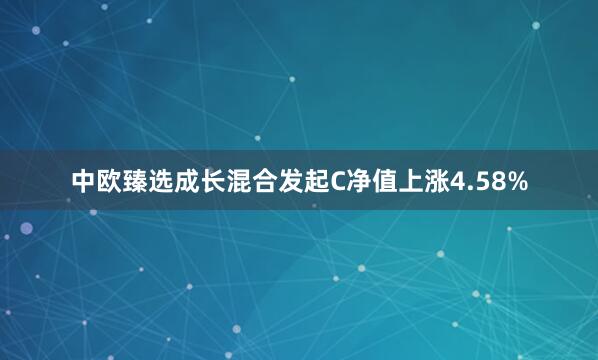 中欧臻选成长混合发起C净值上涨4.58%