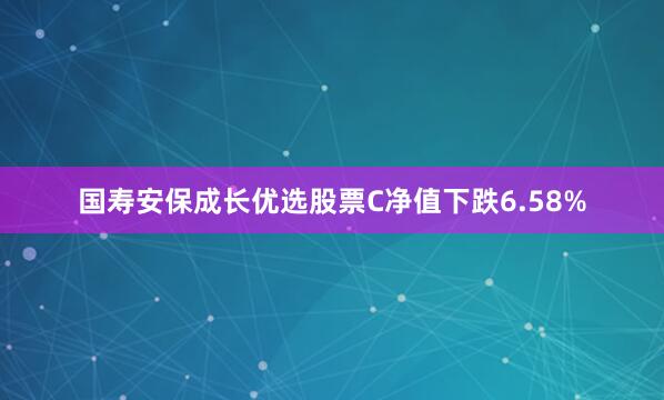 国寿安保成长优选股票C净值下跌6.58%