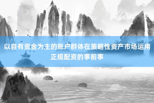 以自有资金为主的账户群体在策略性资产市场运用正规配资的事前事