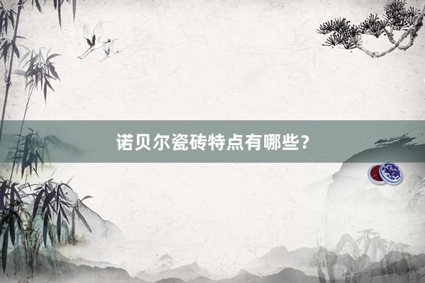 诺贝尔瓷砖特点有哪些？