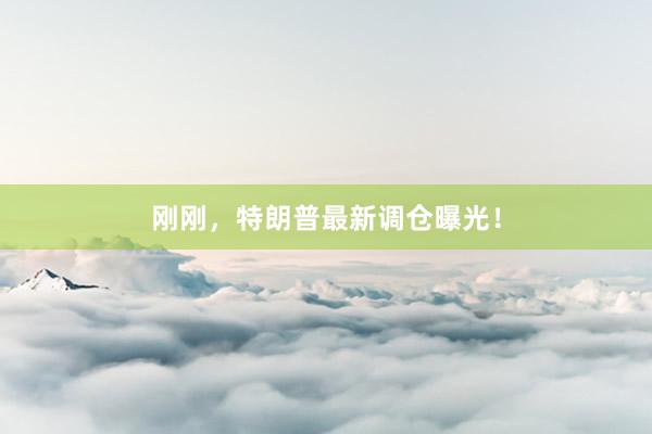 刚刚，特朗普最新调仓曝光！