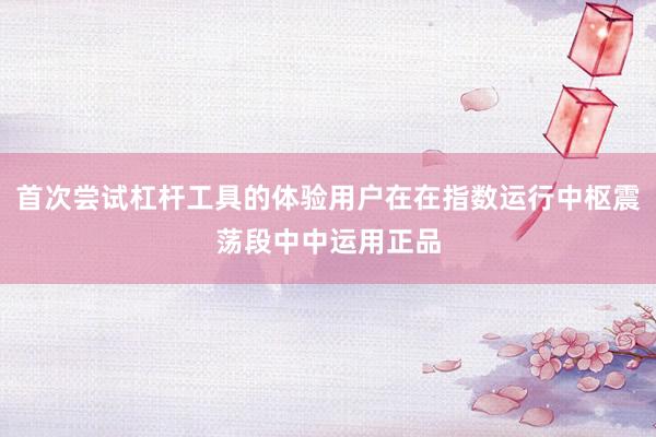 首次尝试杠杆工具的体验用户在在指数运行中枢震荡段中中运用正品