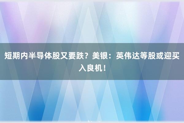 短期内半导体股又要跌？美银：英伟达等股或迎买入良机！