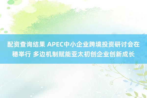 配资查询结果 APEC中小企业跨境投资研讨会在穗举行 多边机制赋能亚太初创企业创新成长