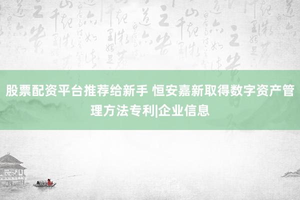 股票配资平台推荐给新手 恒安嘉新取得数字资产管理方法专利|企业信息