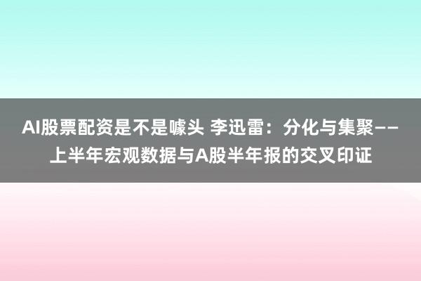 AI股票配资是不是噱头 李迅雷：分化与集聚——上半年宏观数据与A股半年报的交叉印证