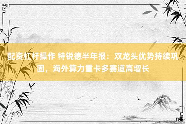配资杠杆操作 特锐德半年报：双龙头优势持续巩固，海外算力重卡多赛道高增长