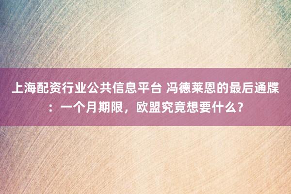 上海配资行业公共信息平台 冯德莱恩的最后通牒：一个月期限，欧盟究竟想要什么？