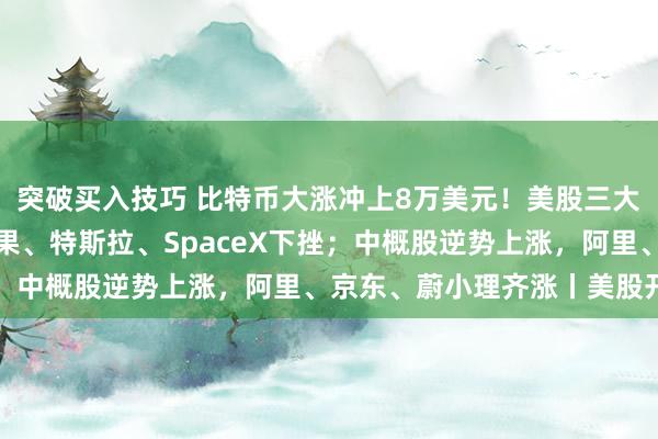 突破买入技巧 比特币大涨冲上8万美元！美股三大指数齐跌，英伟达、苹果、特斯拉、SpaceX下挫；中概股逆势上涨，阿里、京东、蔚小理齐涨丨美股开盘