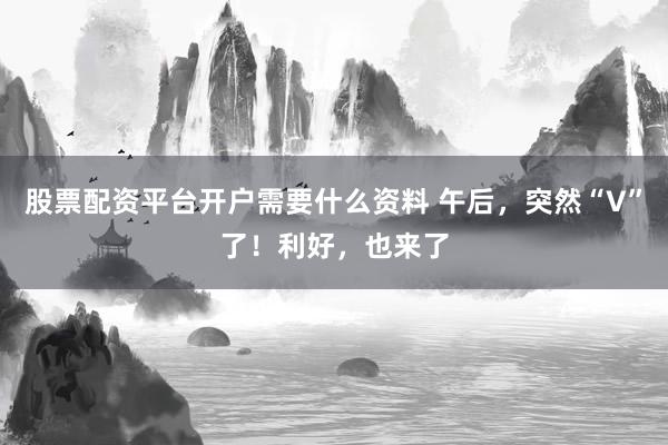 股票配资平台开户需要什么资料 午后，突然“V”了！利好，也来了