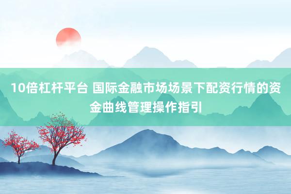 10倍杠杆平台 国际金融市场场景下配资行情的资金曲线管理操作指引