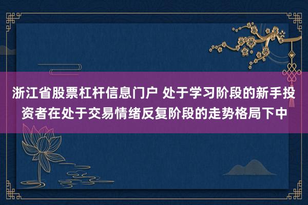 浙江省股票杠杆信息门户 处于学习阶段的新手投资者在处于交易情绪反复阶段的走势格局下中