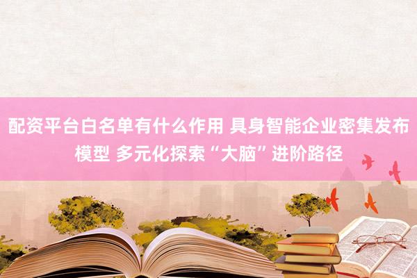 配资平台白名单有什么作用 具身智能企业密集发布模型 多元化探索“大脑”进阶路径