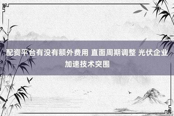 配资平台有没有额外费用 直面周期调整 光伏企业加速技术突围