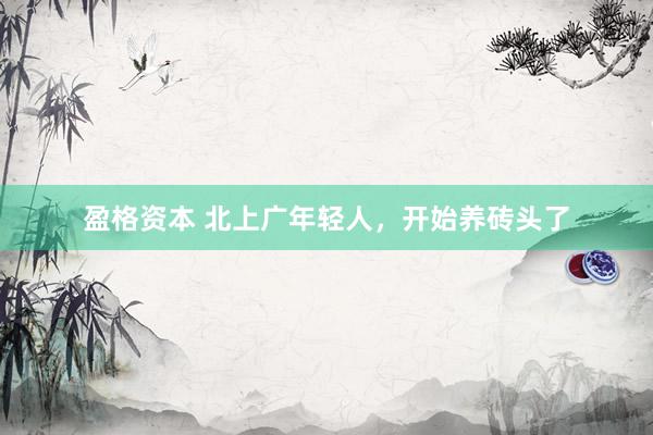 盈格资本 北上广年轻人，开始养砖头了