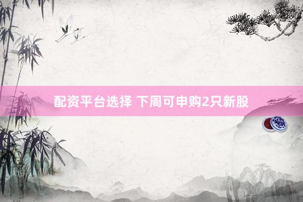 配资平台选择 下周可申购2只新股