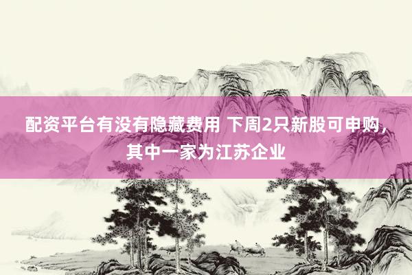 配资平台有没有隐藏费用 下周2只新股可申购，其中一家为江苏企业