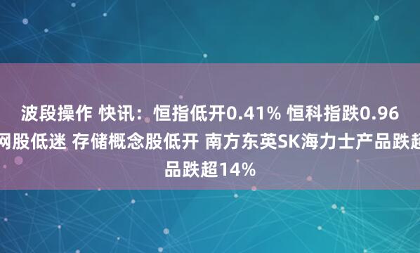 波段操作 快讯：恒指低开0.41% 恒科指跌0.96% 科网股低迷 存储概念股低开 南方东英SK海力士产品跌超14%