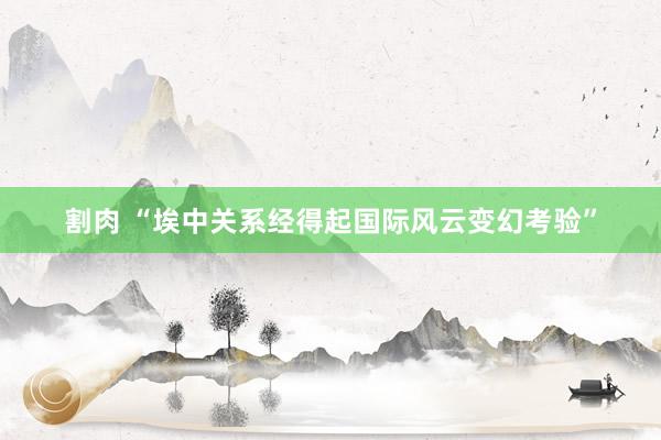 割肉 “埃中关系经得起国际风云变幻考验”